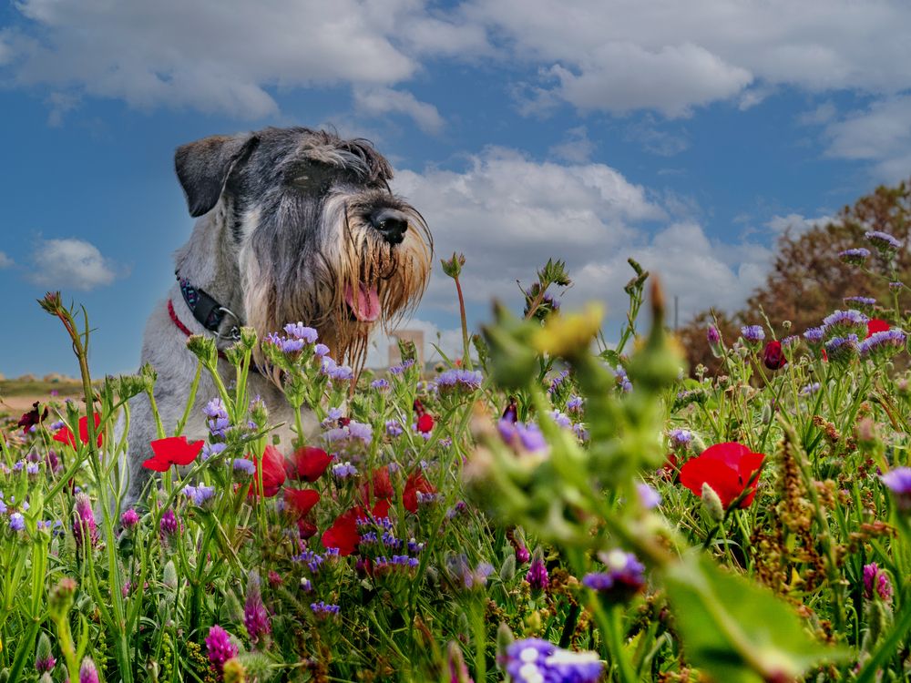 Photograph by Lev Tsenter