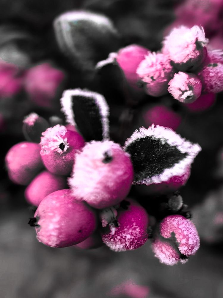 Photograph by Мария Карпычева