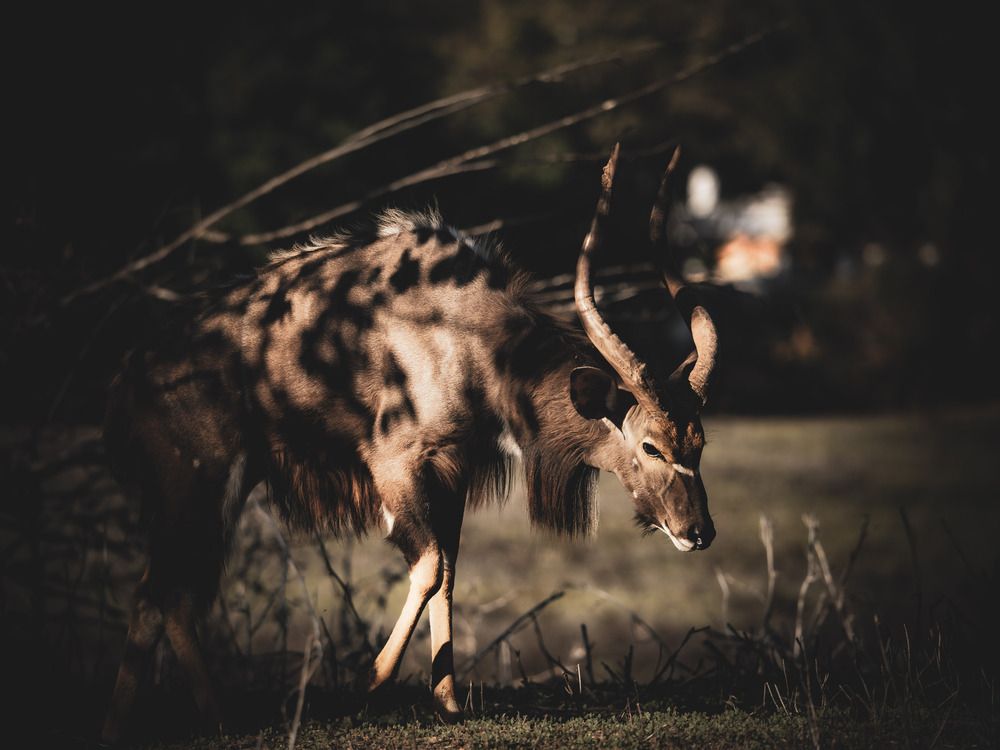 Photograph by Katherine Erlich