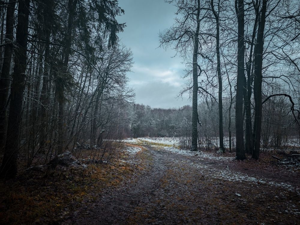 Photograph by Кирилл Сидоров