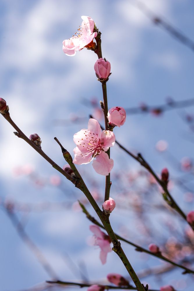 Photograph by Наталья Egoza