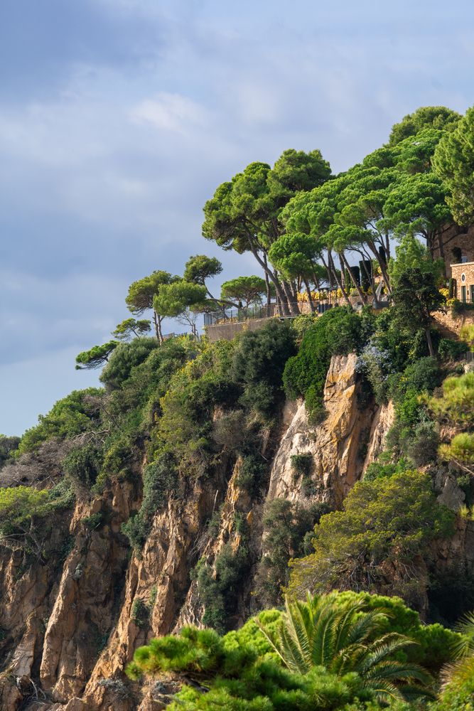 Above The Hill