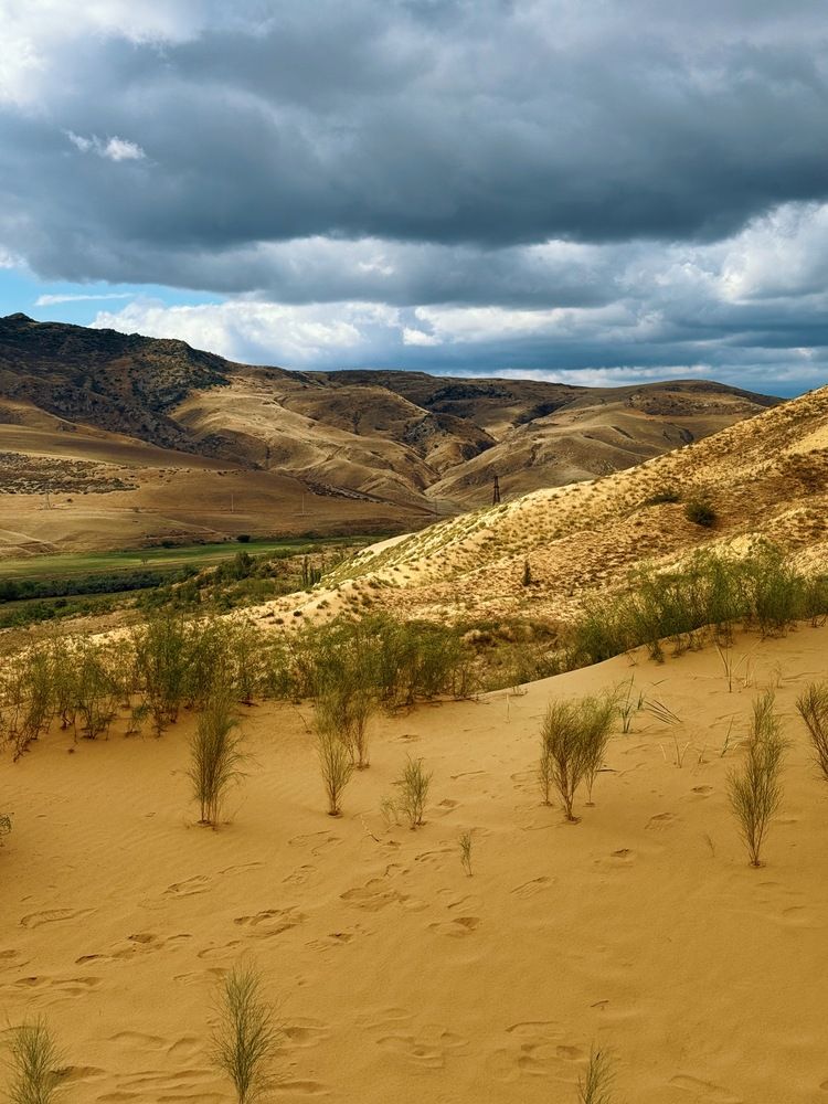 Photograph by Альбина Шакирова