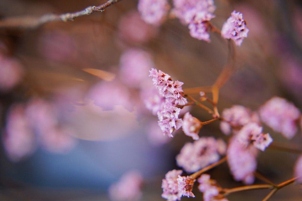 Photograph by Svetlana Reshetnikova