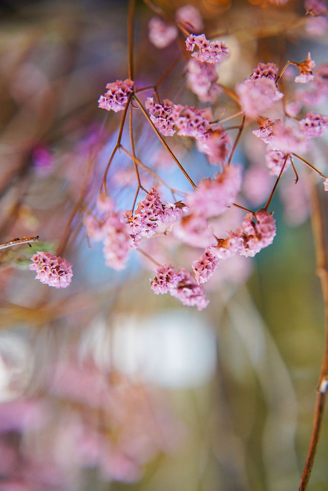 Photograph by Svetlana Reshetnikova