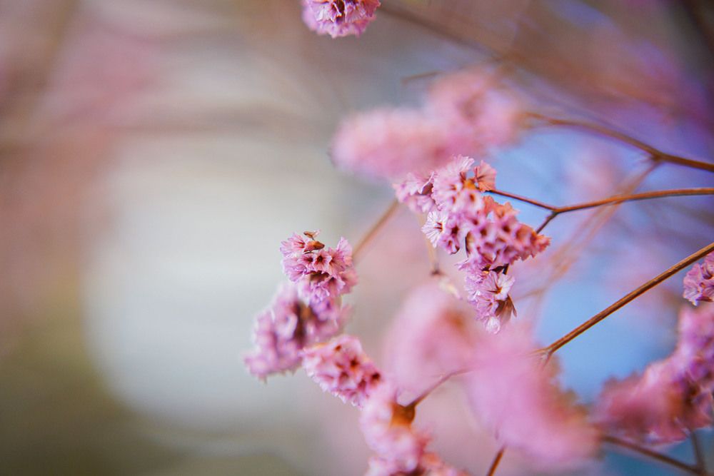 Photograph by Svetlana Reshetnikova