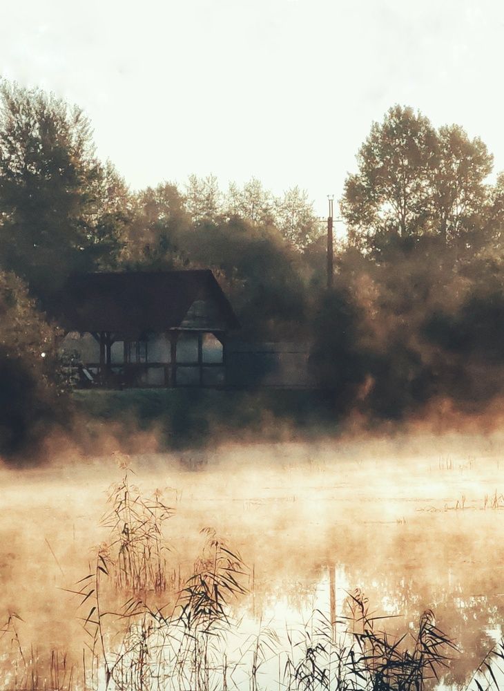 Photograph by Юлия