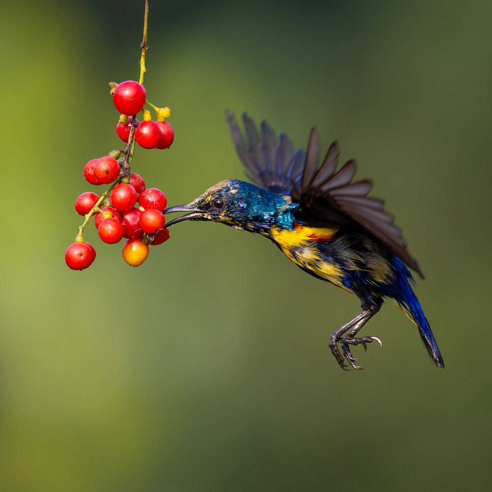 Photograph by Aritra Nath