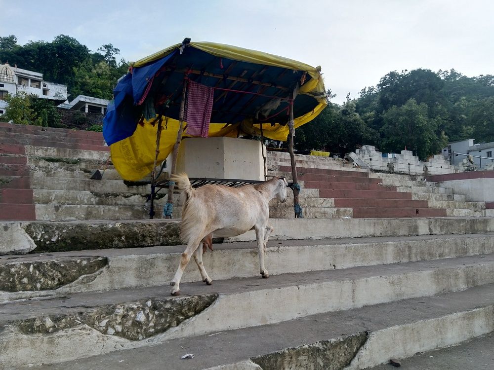 Photograph by sumit sitole