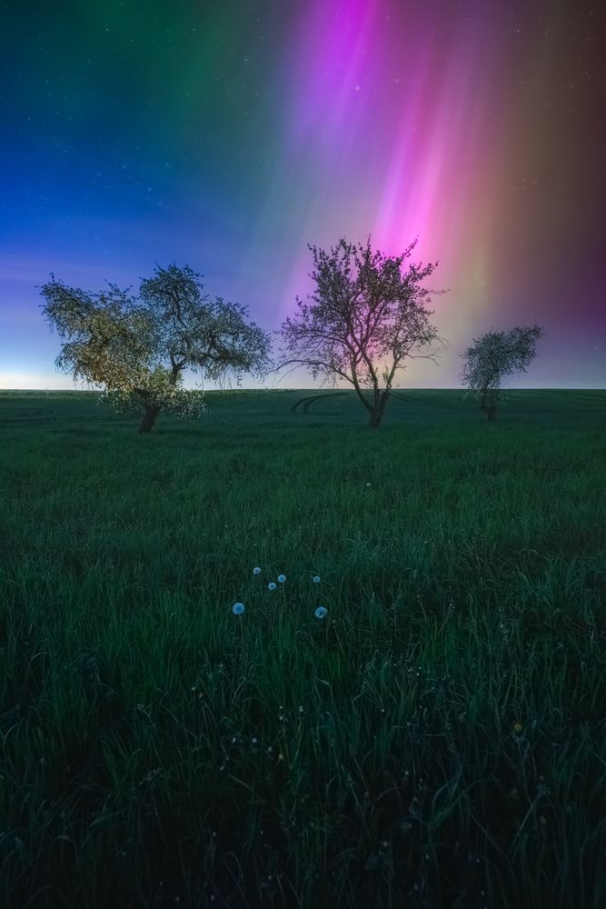 Photograph by Jānis Paļulis