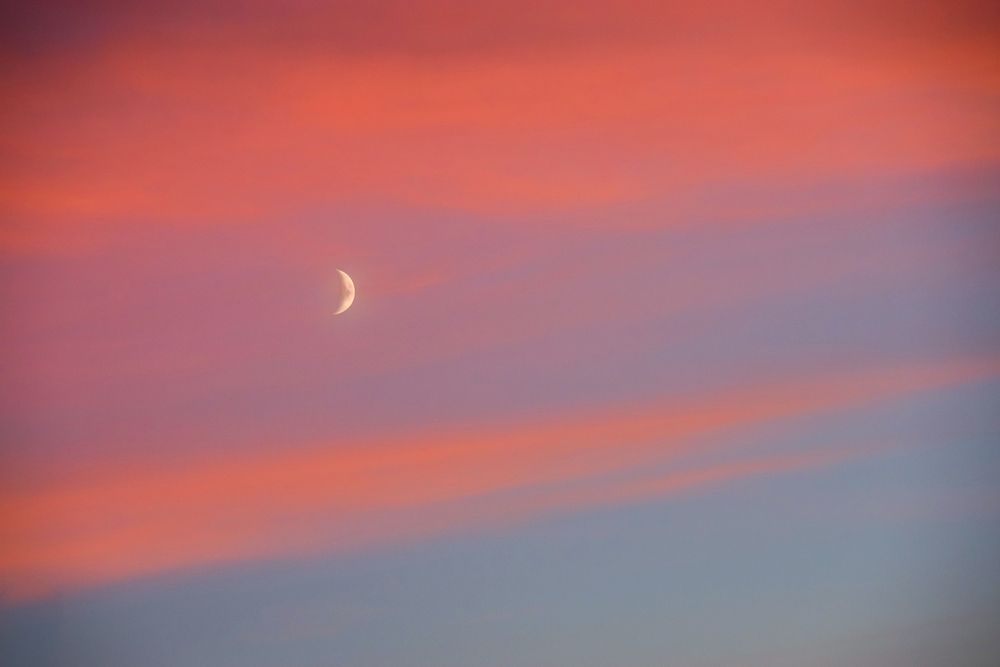 Photograph by Дария Ризниченко