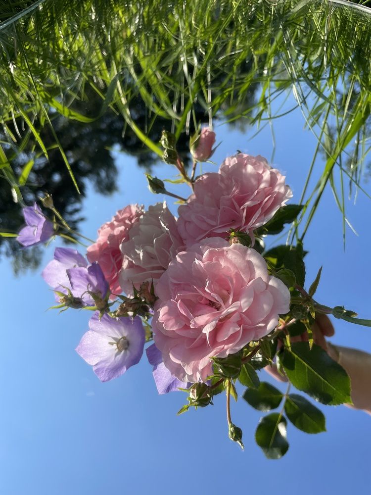 Photograph by Марта