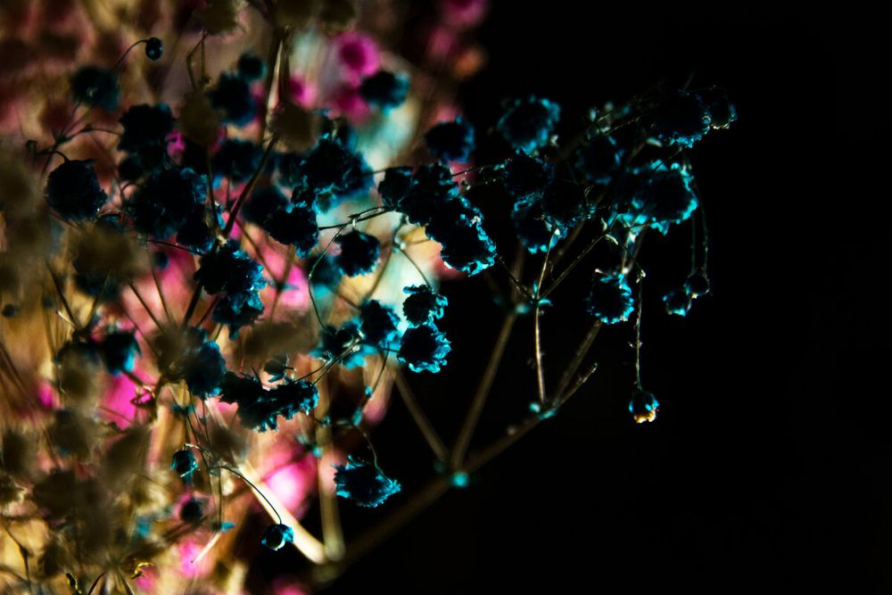 Photograph by Дария Ризниченко