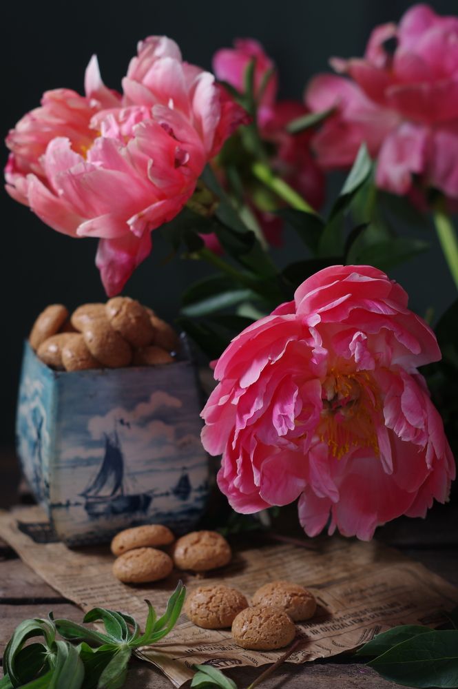 Photograph by Marina Lucenko