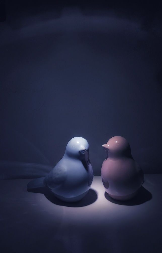 Photograph by Вера Скуратова