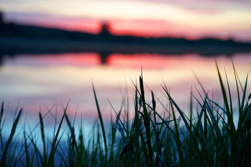 Photograph by Марина