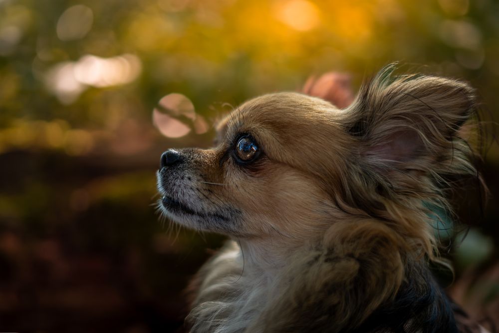 Photograph by Kim Aspers