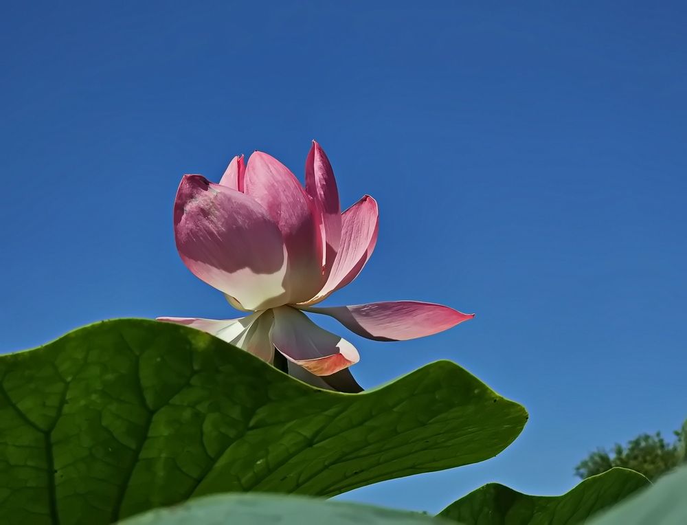 Photograph by Наталья Баранова