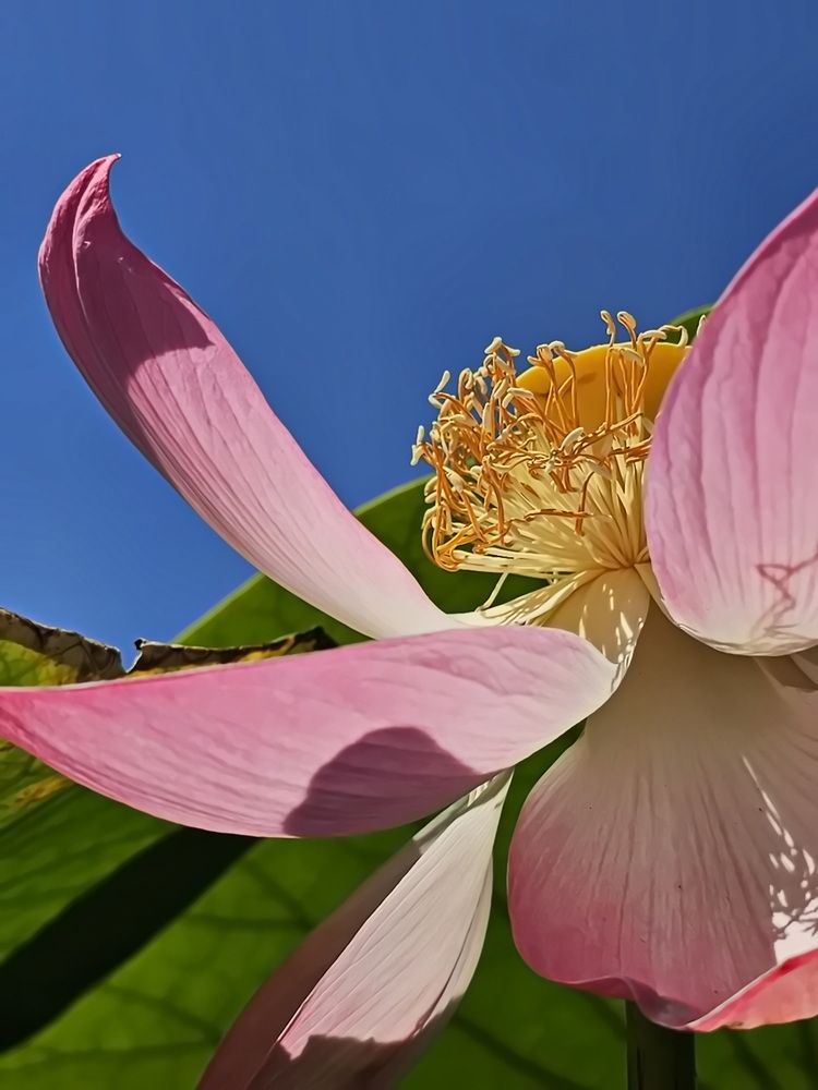 Photograph by Наталья Баранова