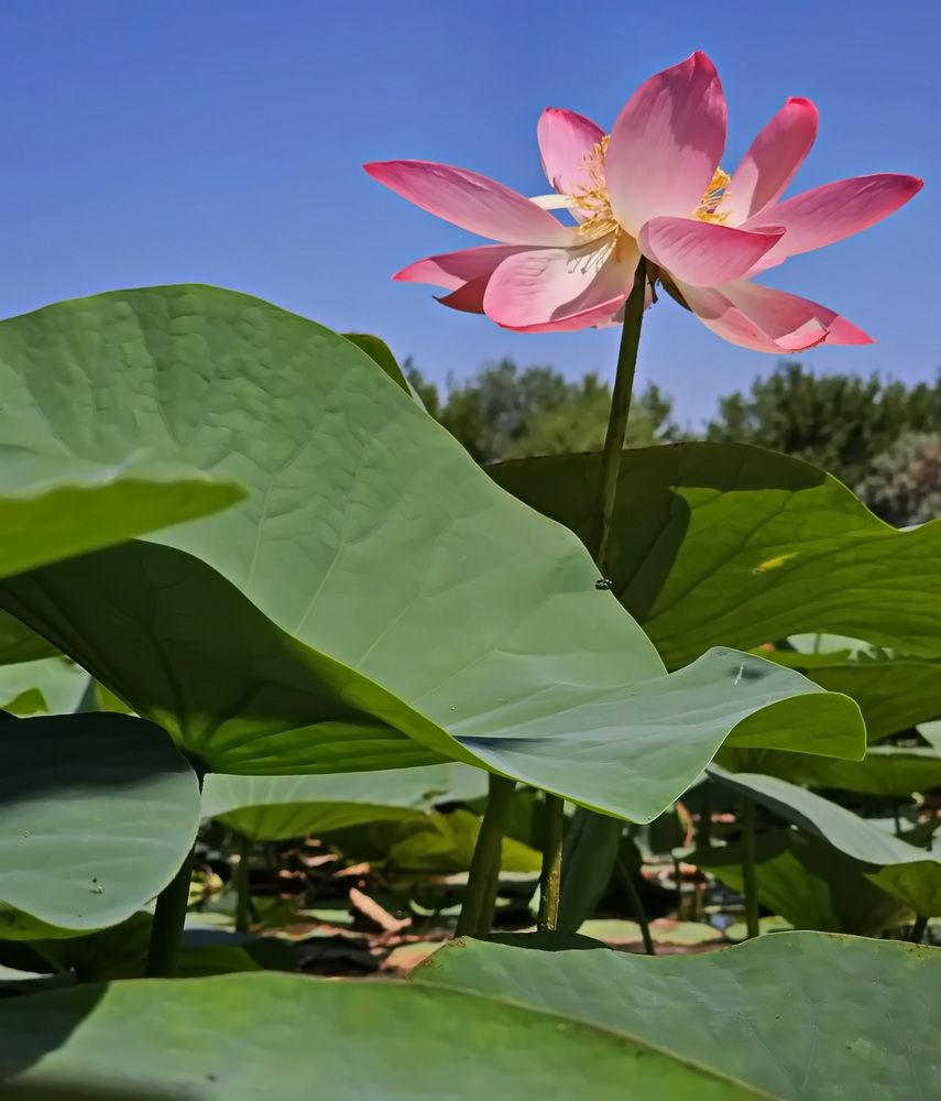 Photograph by Наталья Баранова