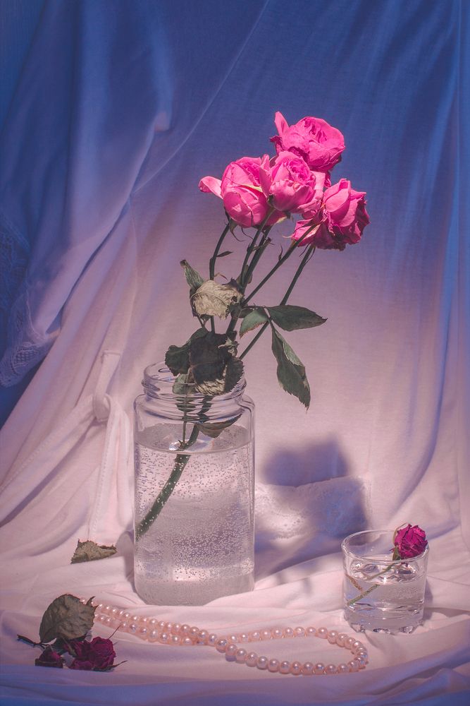 Photograph by Алина Стемковская
