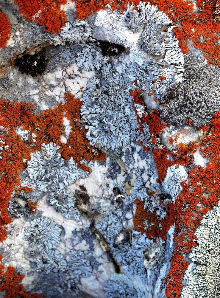 Фотография автора Ivan Ćetković