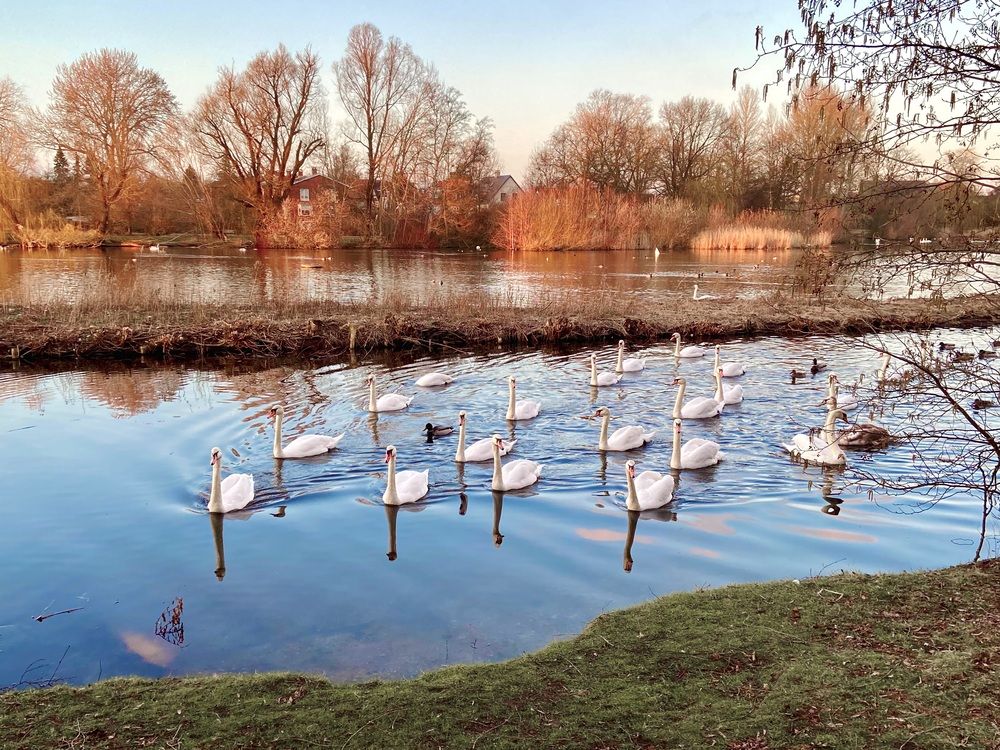 Photograph by Marina Odintsova