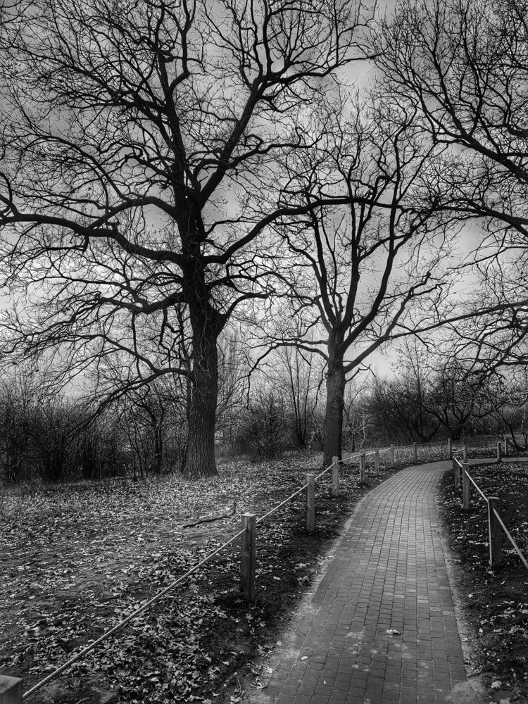 Photograph by Aleksandr