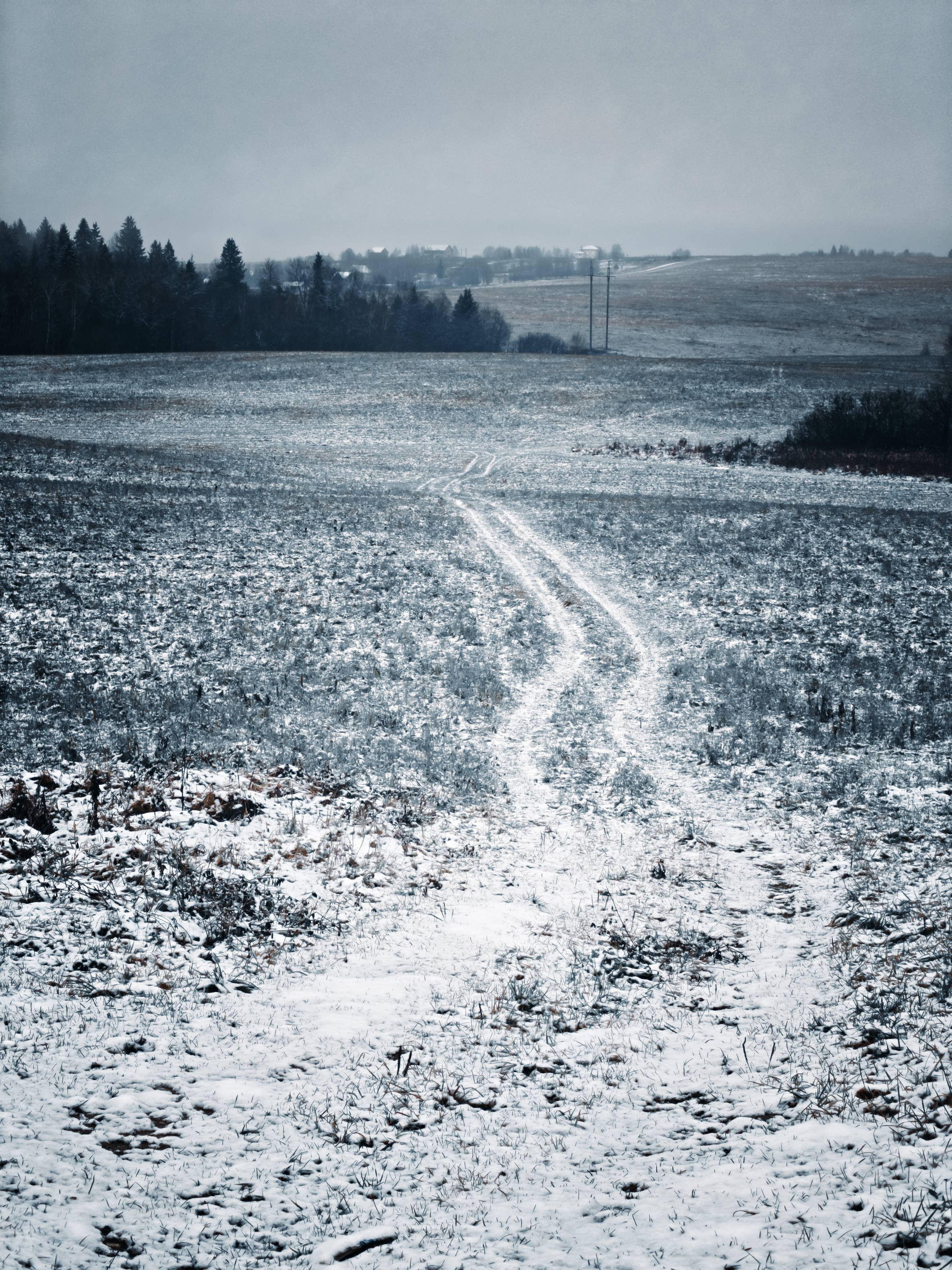 Photo #12867428