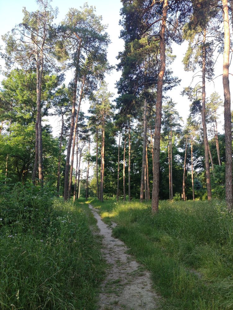 Photograph by Lena Semenova