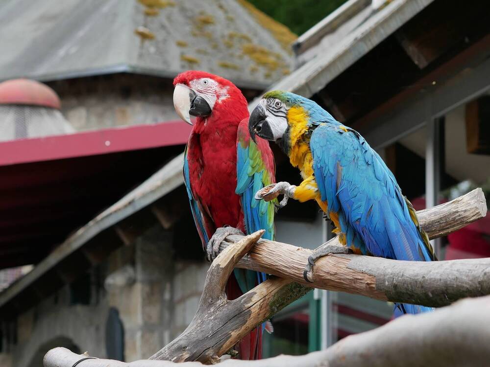 Photograph by Владимир Лобанов