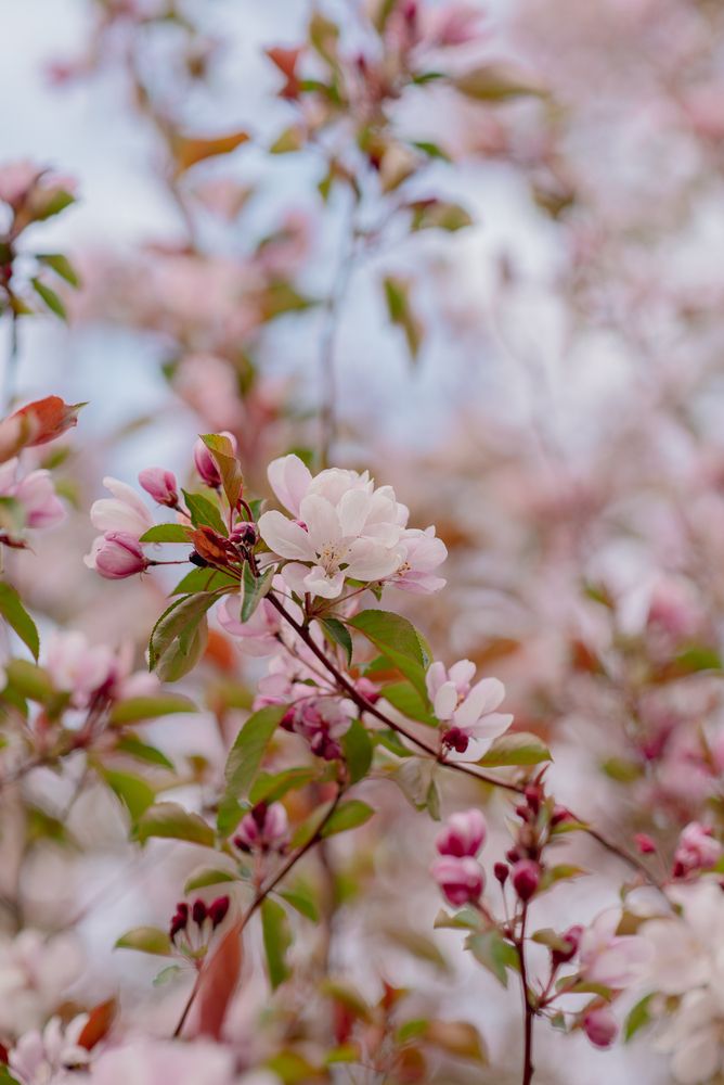 Photograph by Виктория Абрамова