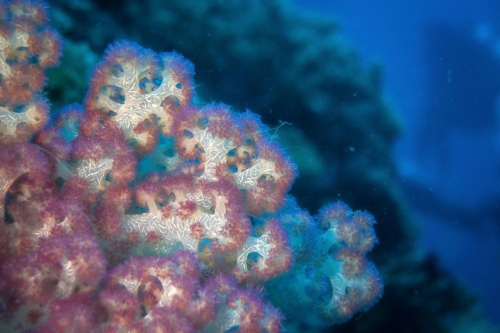 Photograph by Никита Костылёв