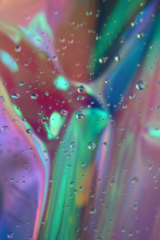 Photograph by Светлана Шуткова