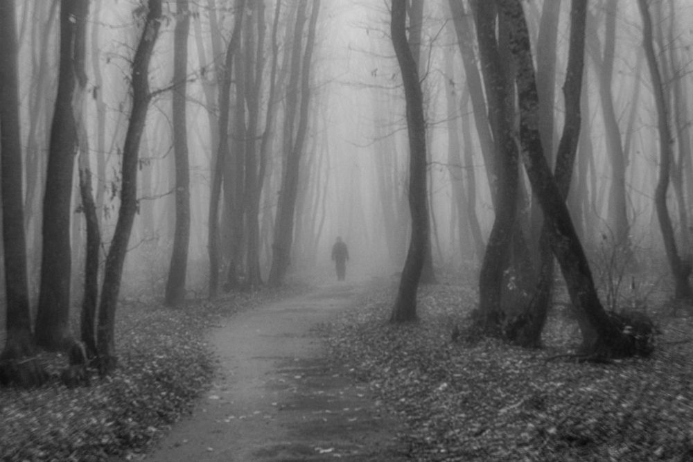 Photograph by Виталий Маслов