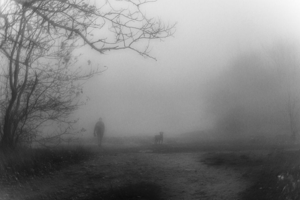 Photograph by Виталий Маслов