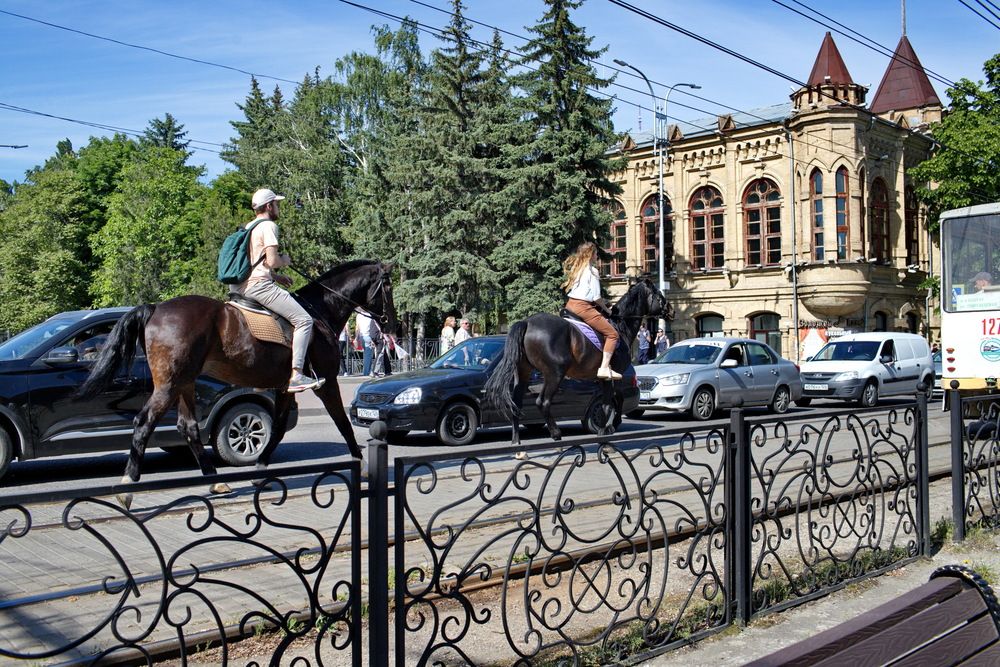 Фотография автора tamaz kapanadze