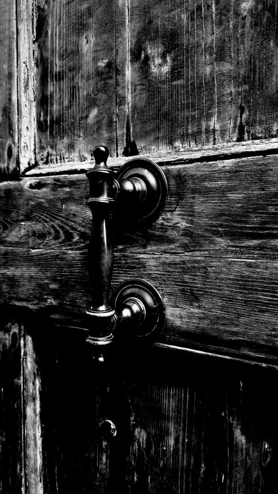 Photograph by Elena Bitar