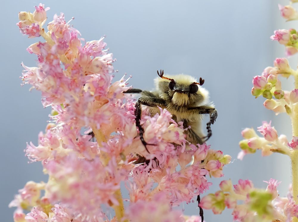Photograph by Наталья Соколова