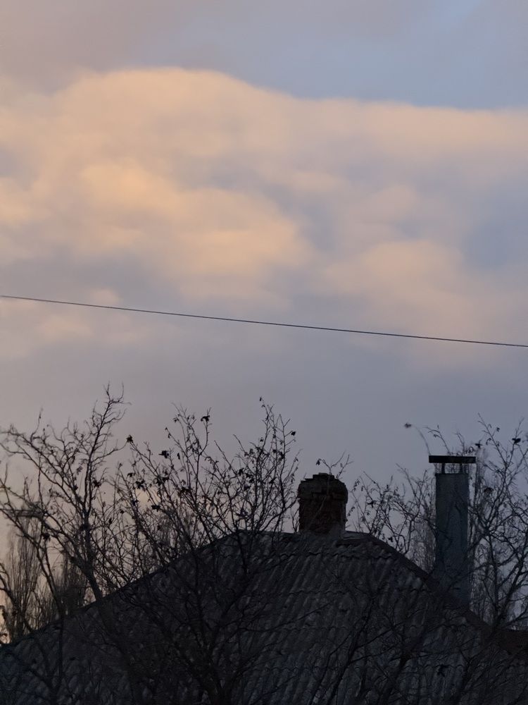 Фотография автора Татьяна