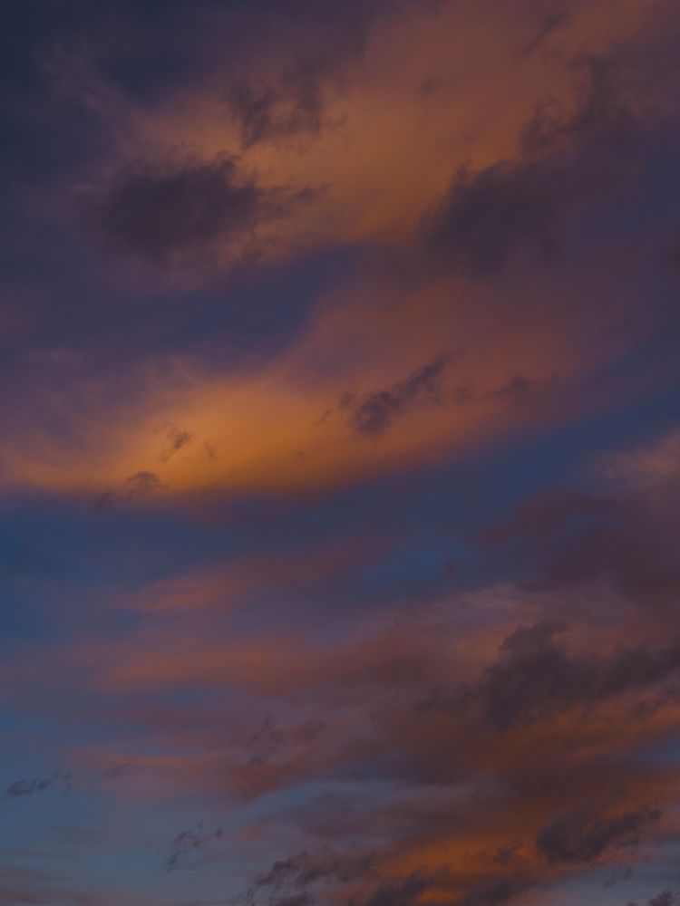 Photograph by Ася Жгенти