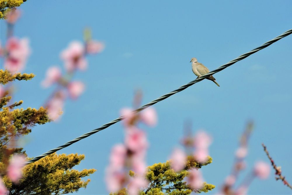 Photograph by Mayya Khrolovich