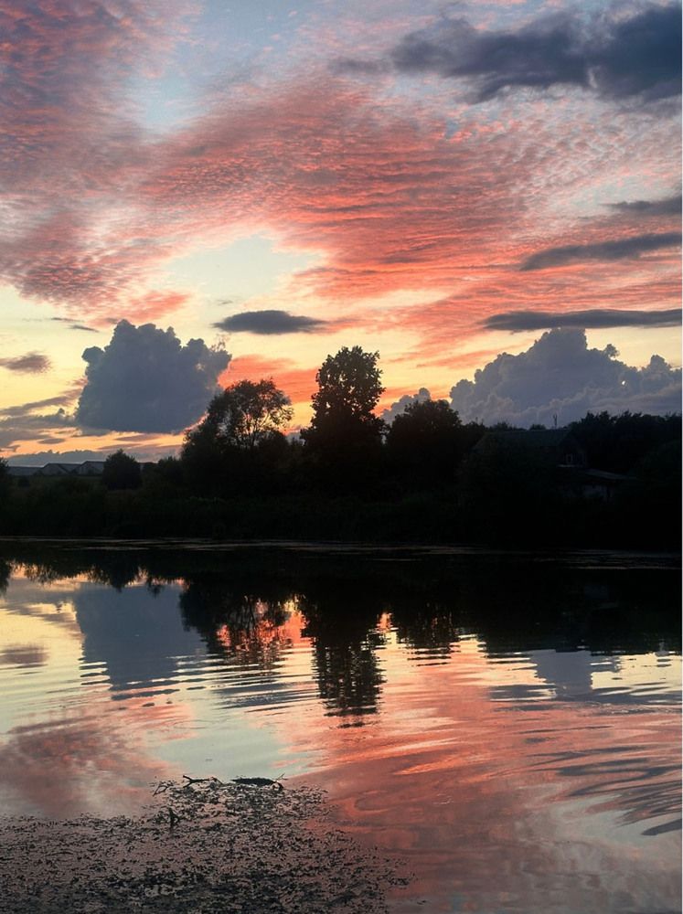 Photograph by Людмила Павловна