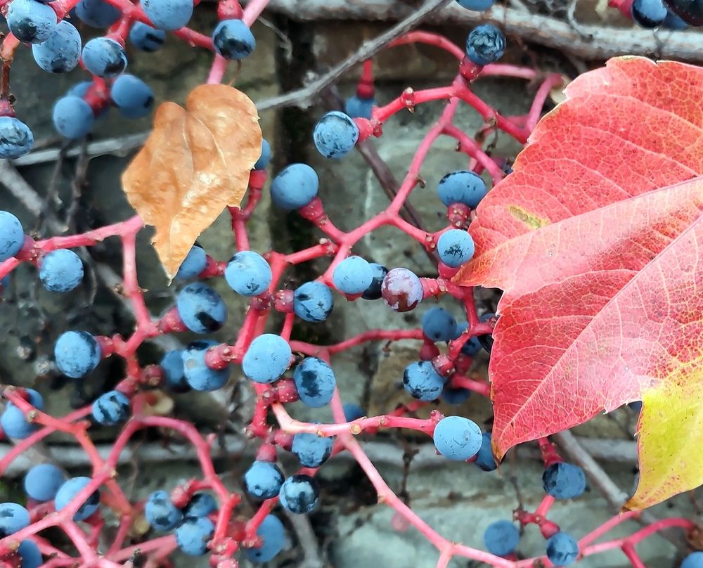 Photograph by Сергей Христинич