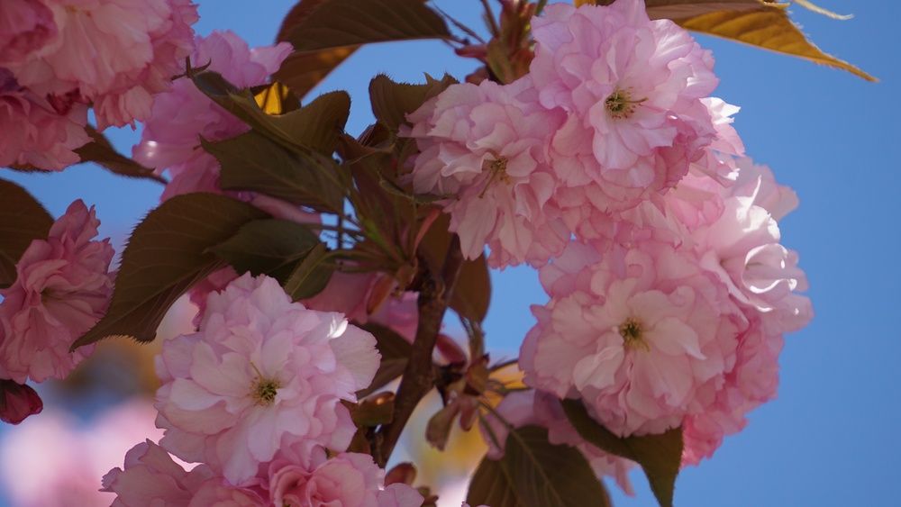 Photograph by Нина Паршина