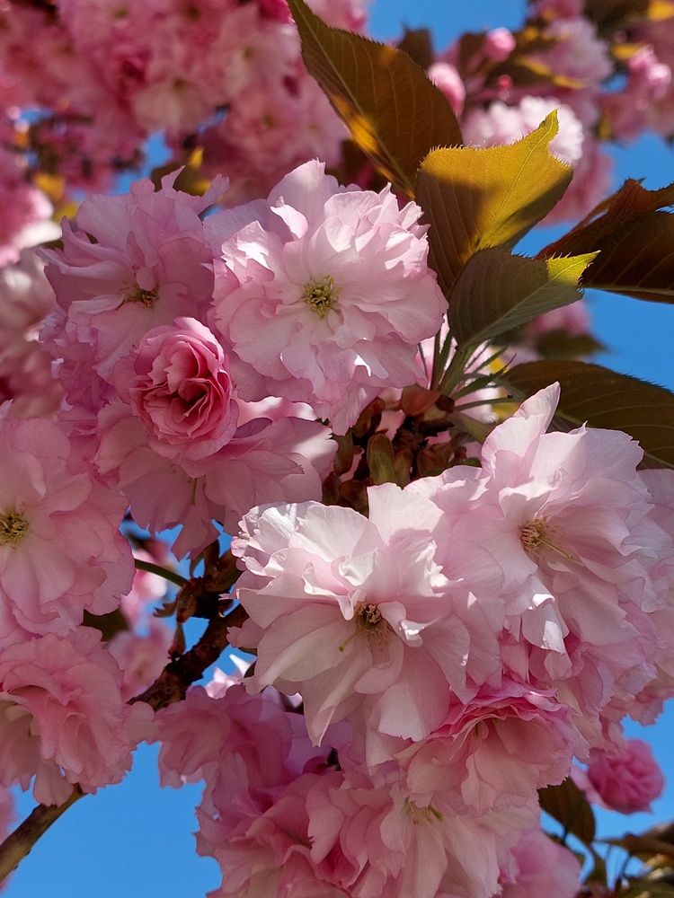 Photograph by Нина Паршина