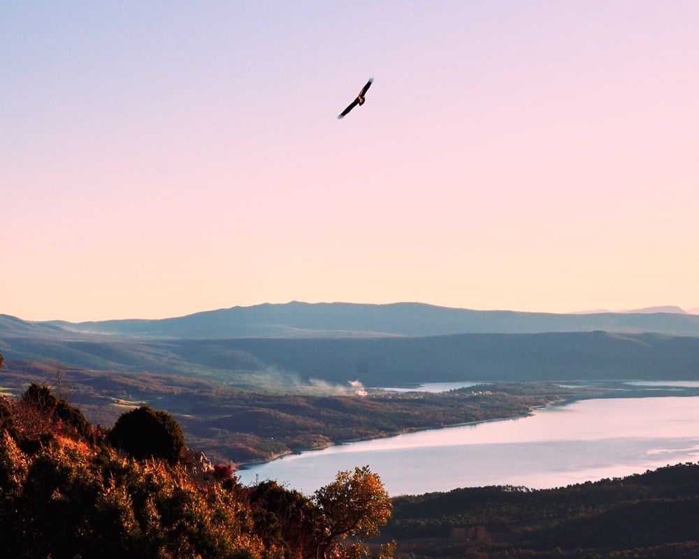 Photograph by Marina Odintsova