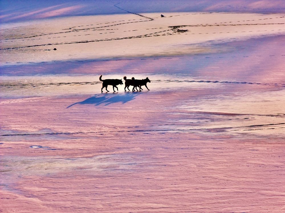 Photograph by Татьяна Шитлина