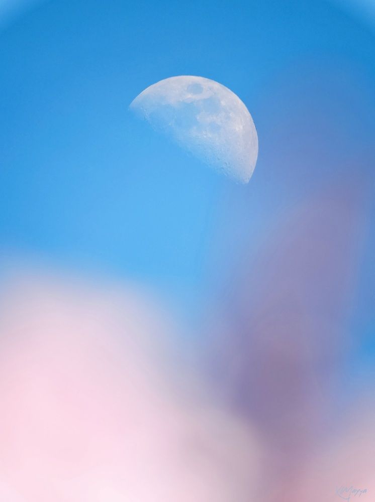 Photograph by Mayya Khrolovich