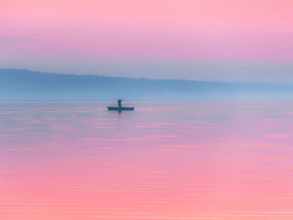 PINK and BLUE FOG